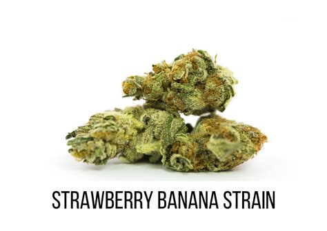 hermes strain|strawberry banana hermie strain.